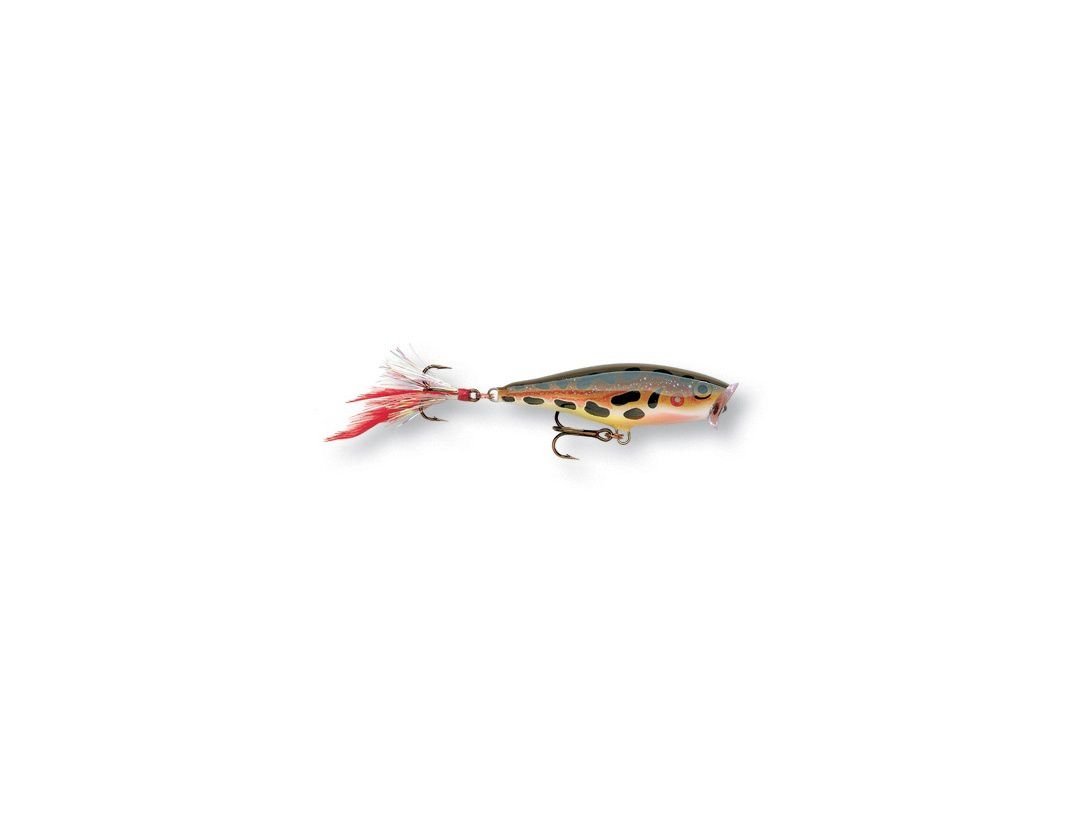 SKITTER POP SP09 FROG SKITTER POP SP09 FROG