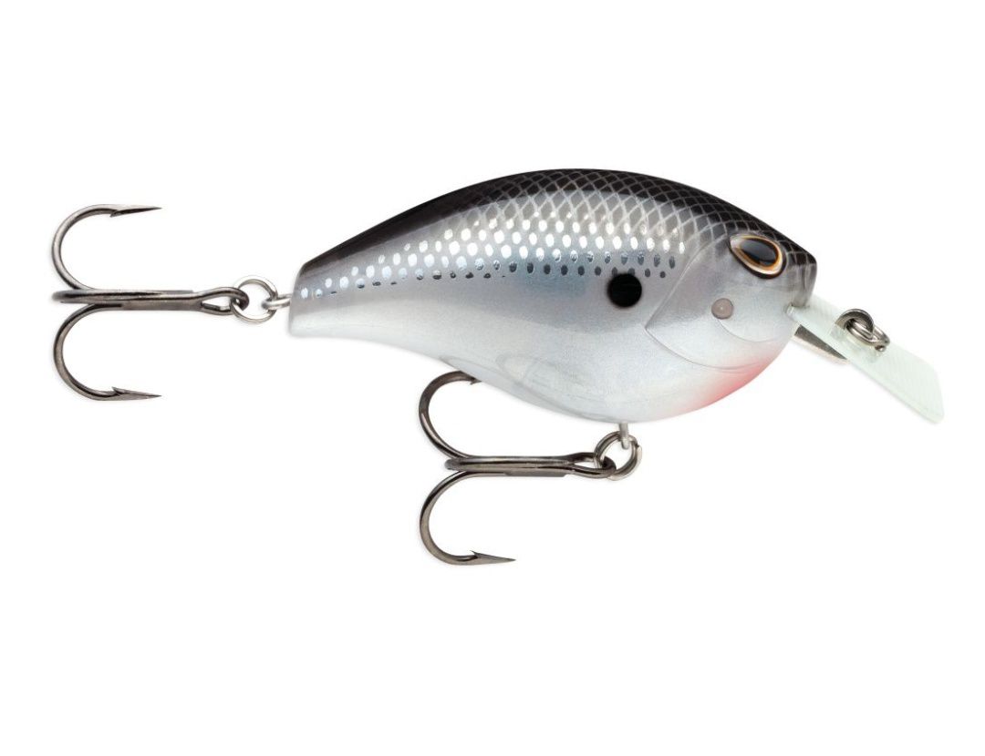 ARASHI RATTLING SQUARE ASQR05 BLACK SILVER SHAD