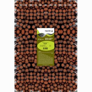 BOUILLETTES WELLMIX 10KG SCOPEX