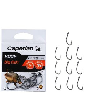 Caperlan HOOK CARP BIG FISH 1