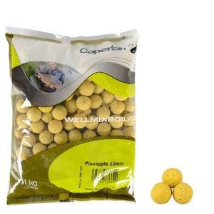 WELLMIX BOILIES PINEAPPLE 1KG