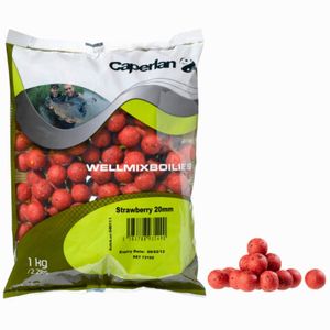 BOUILLETTES WELLMIX 1KG SCOPEX