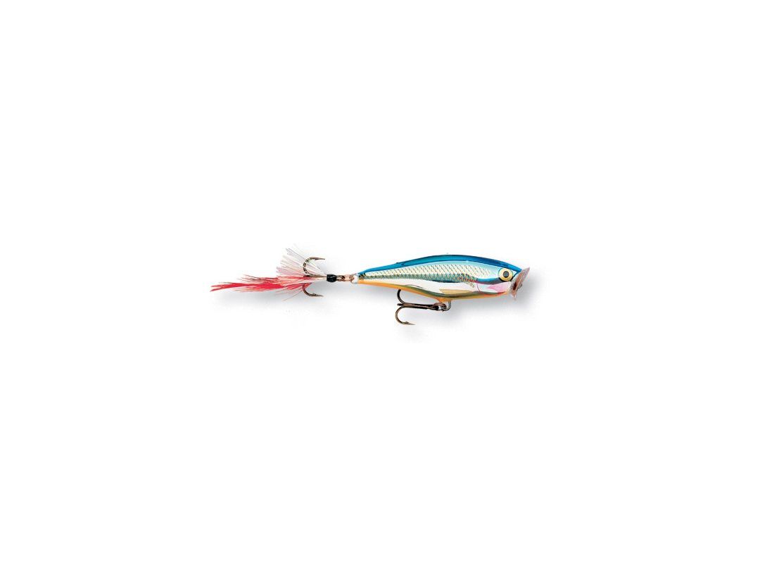 SKITTER POP SP07 SILVER BLUE SKITTER POP SP07 SILVER BLUE