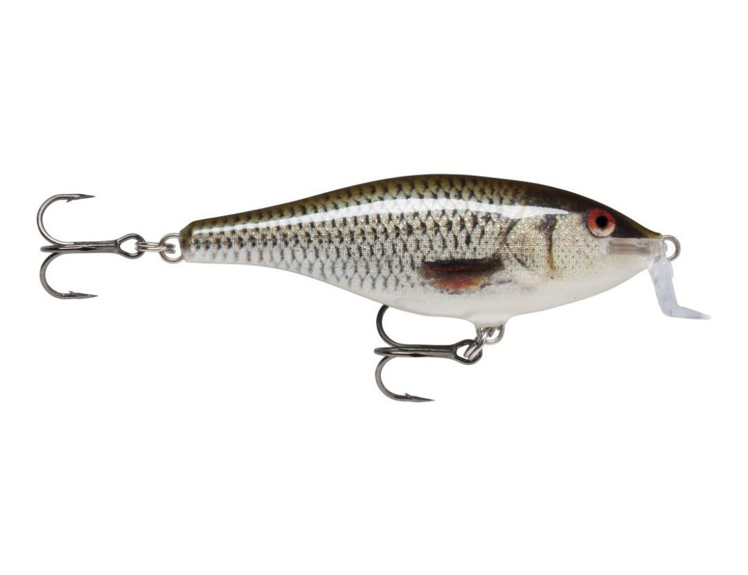 SHALLOW SHAD RAP SSR09 LIVE ROACH SHALLOW SHAD RAP SSR09 LIVE ROACH