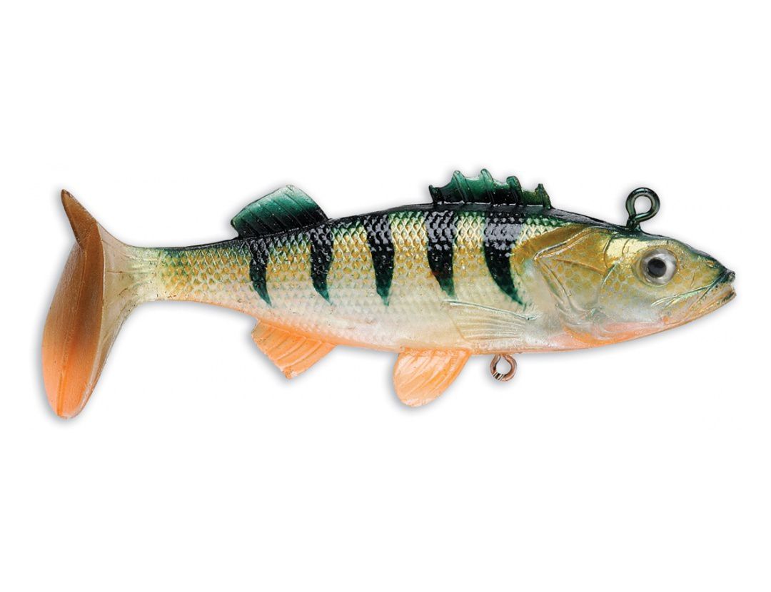 WILDEYE LIVE PERCH WLPE02 ORANGE BELLY PERCH WILDEYE LIVE PERCH WLPE02 ORANGE BELLY PERCH