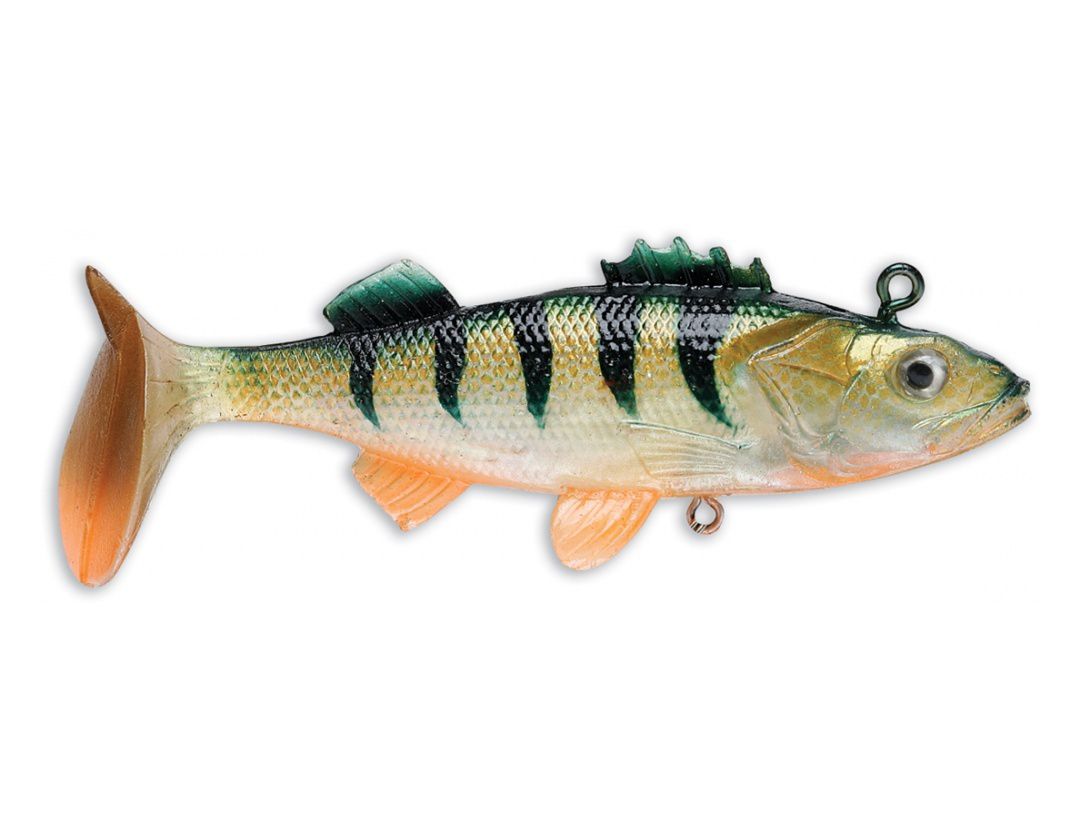 WILDEYE LIVE PERCH WLPE02 ORANGE BELLY PERCH