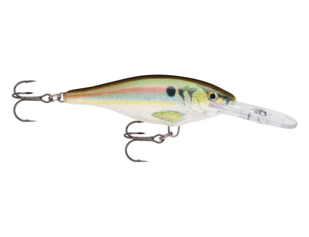 SHAD RAP SR09 LIVE RIVER SHAD SHAD RAP SR09 LIVE RIVER SHAD