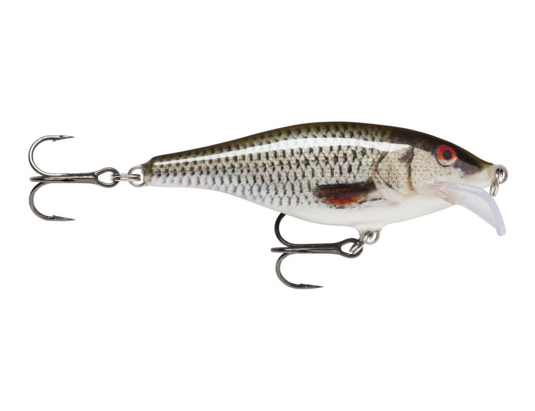 SCATTER RAP SHAD SCRS05 LIVE ROACH SCATTER RAP SHAD SCRS05 LIVE ROACH