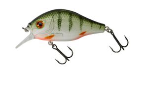 DOGORA F 6.5CM GREEN PERCH