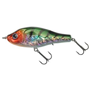 OTACHI 125 S METALLIC PERCH