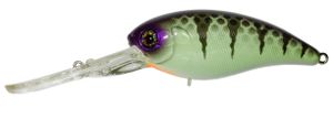 MASCLE DEEP 4 + TABLE ROCK PERCH