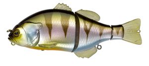 GANTAREL JR. 13CM HL VISIBLE PERCH