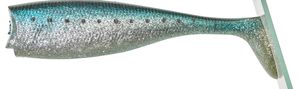 NITRO SHAD 250 + HEAD 250G SARDINE