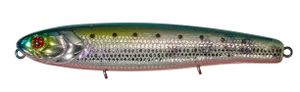 BONNIE 12.8CM HL SARDINE RED BELLY