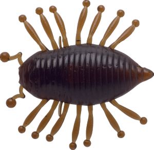 MAGIC WOODLOUSE 1,18" CHERRY COKE