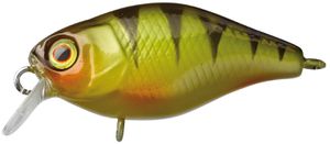 CHUBBY 3.8CM PERCH CHUBBY 3.8CM PERCH