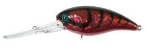 MASCLE DEEP 4 + HL RED CRAW