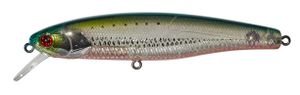 ARNAUD 10CM HL SARDINE RED BELLY