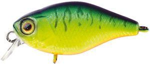 CHUBBY 3.8CM MAT TIGER CHUBBY 3.8CM MAT TIGER