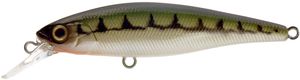 SQUAD MINNOW 65 SP 6.5CM VAIRON