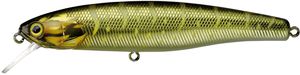 ARNAUD 10CM HL PIKE