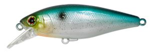 CHUBBLE SR SPARKLE SS SHAD