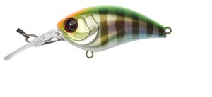 MUSH BOB 50 MR 5CM HL VISIBLE PERCH