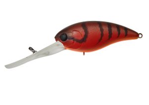 MASCLE DEEP 4 + MAD CRAW