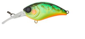 MUSH BOB 50 MR 5CM MAT FROG TIGER MUSH BOB 50 MR 5CM MAT FROG TIGER