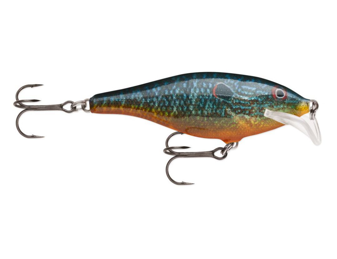 SCATTER RAP SHAD SCRS07 LIVE PUMPKINSEED