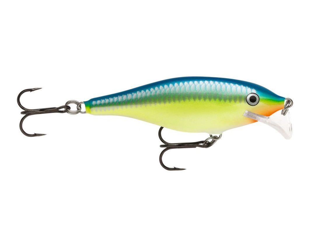 SCATTER RAP SHAD SCRS07 CARIBBEAN SHAD SCATTER RAP SHAD SCRS07 CARIBBEAN SHAD