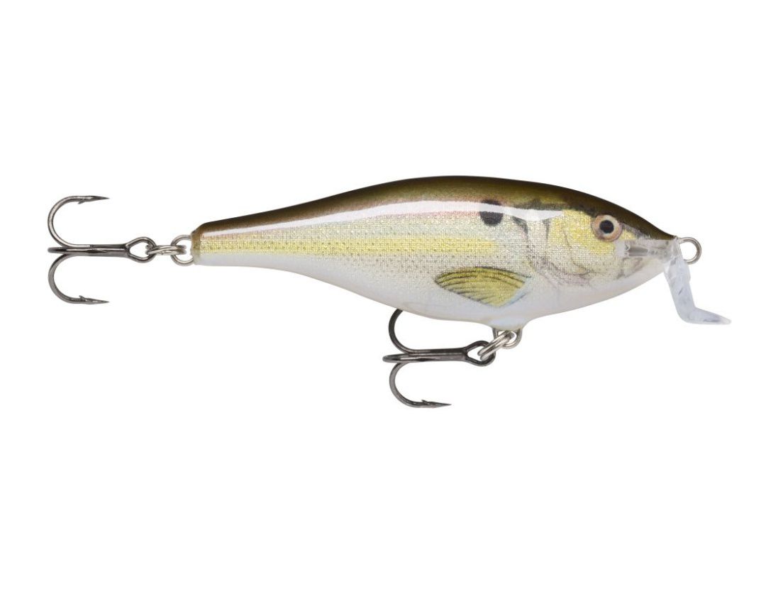 SHALLOW SHAD RAP SSR05 LIVE RIVER SHAD