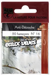 HAM.N.MTES EAUX VIVES ANTI DECROCHE 9