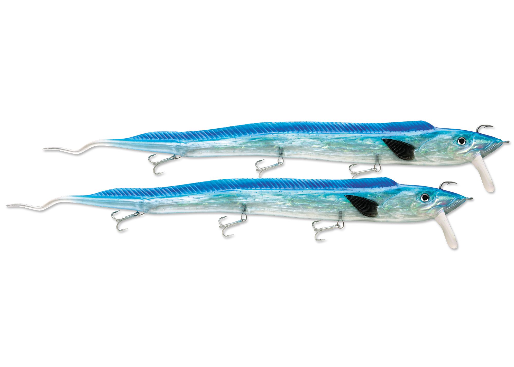 LIVE RIBBONFISH LRFR18 BLUE