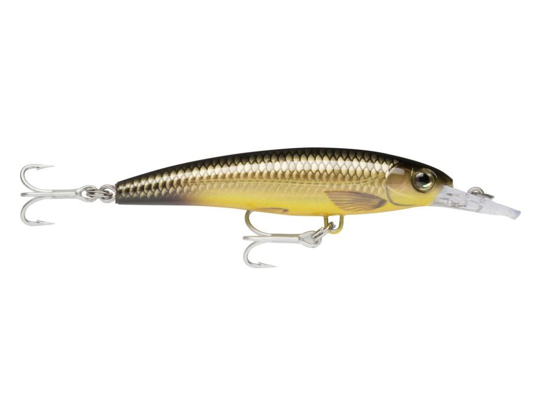 XXX-RAP XXXR10 YELLOW EYED MULLET XXX-RAP XXXR10 YELLOW EYED MULLET