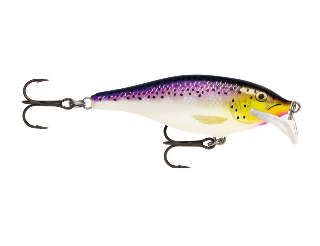 SCATTER RAP SHAD SCRS05 PURPLEDESCENT SCATTER RAP SHAD SCRS05 PURPLEDESCENT