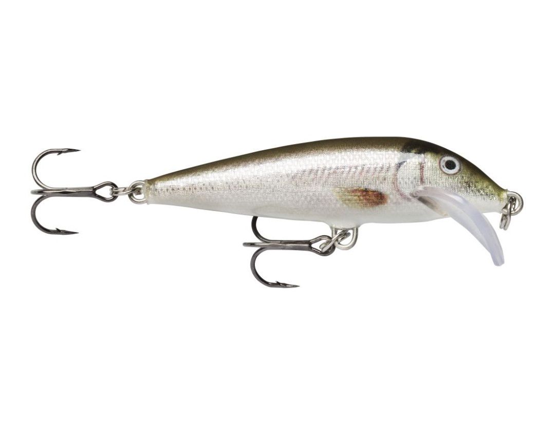 SCATTER RAP COUNTDOWN SCRCD07 LIVE SMELT SCATTER RAP COUNTDOWN SCRCD07 LIVE SMELT