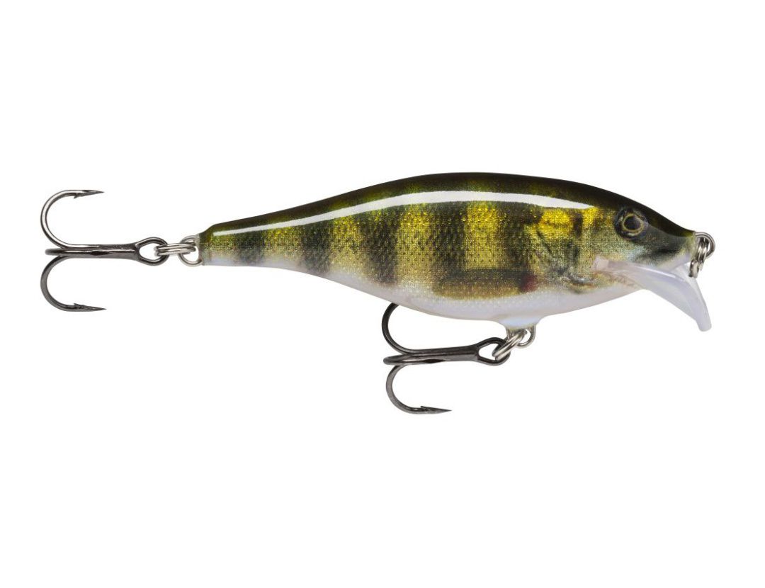 SCATTER RAP SHAD SCRS05 LIVE PERCH