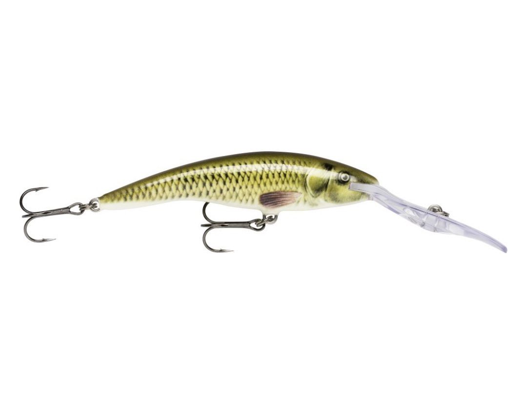 Rapala DEEP TAIL DANCER TDD11 RAINBOW TROUT FLASH