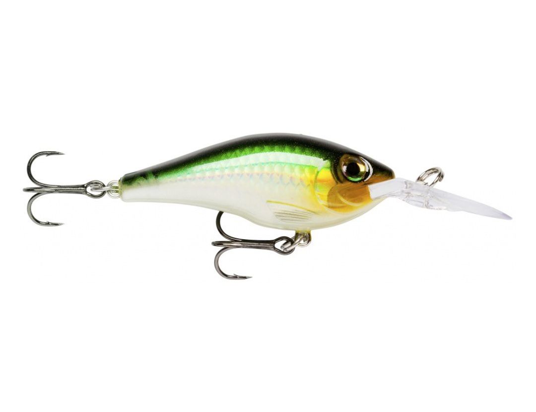 MAXRAP FAT SHAD MXRFS05 FLAKE GREEN