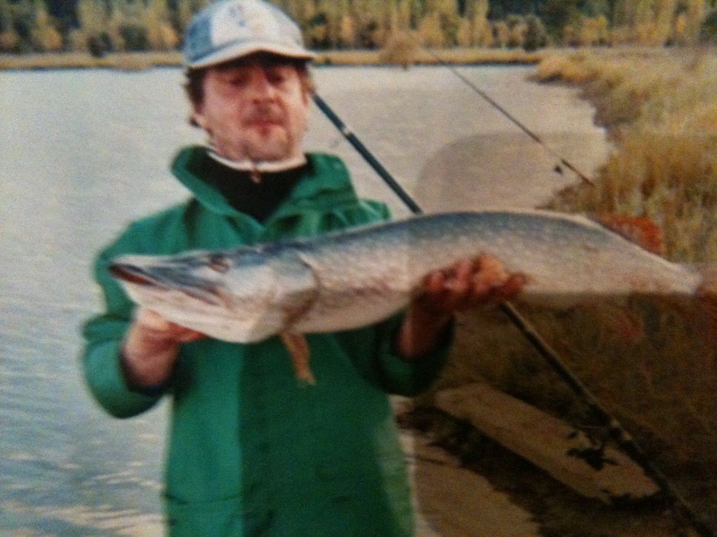 Jacky Perron