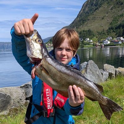 Brage Viste