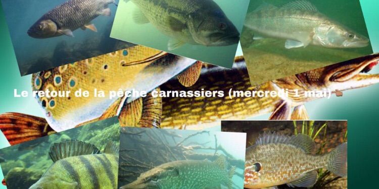 Samy Gameur45