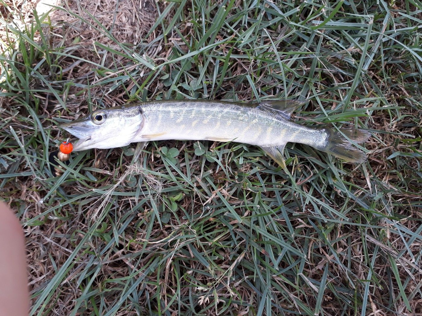The Intelectual Fisherman Ytb