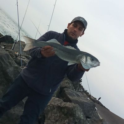 Fouad Fouad