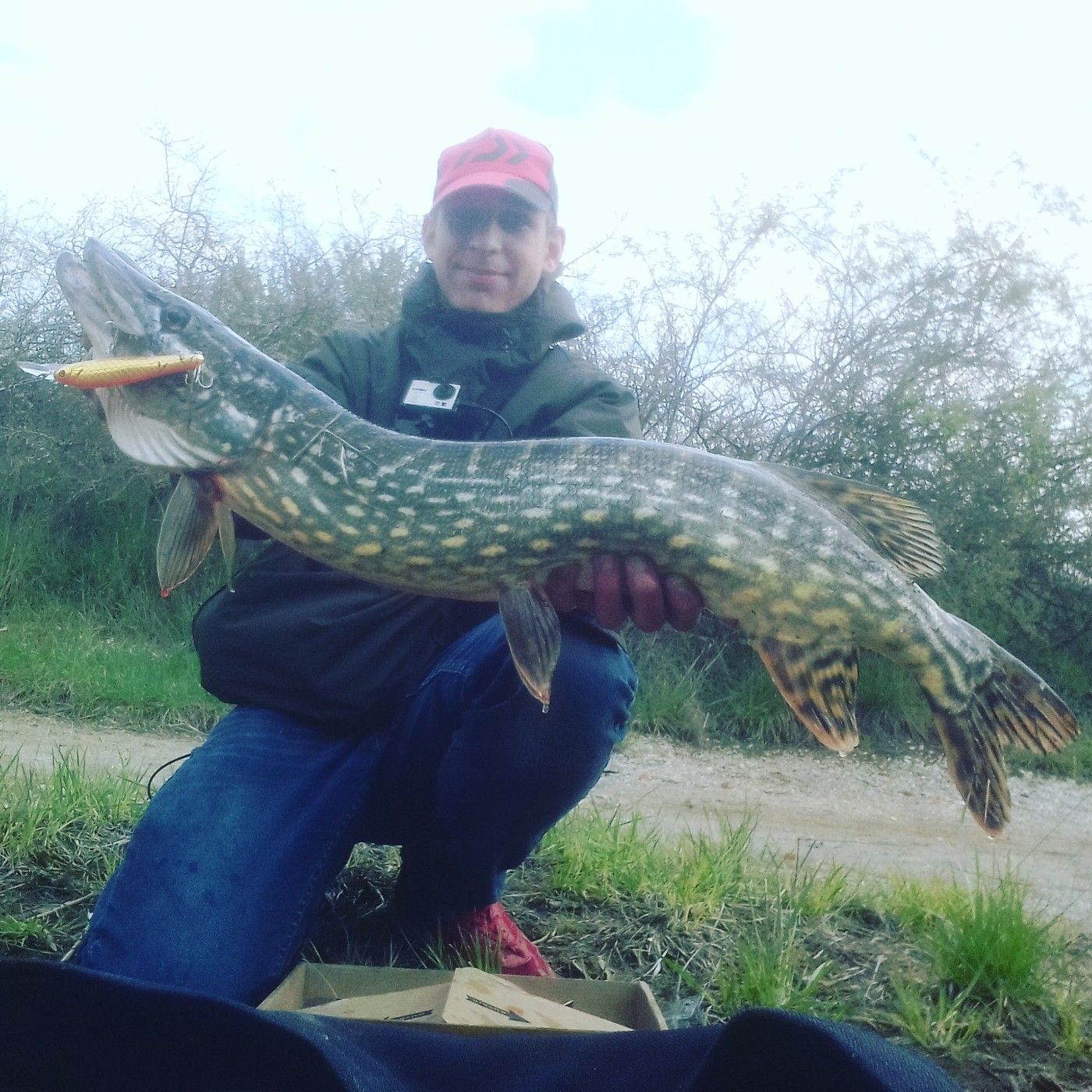 Ultimate-fishing Ytb