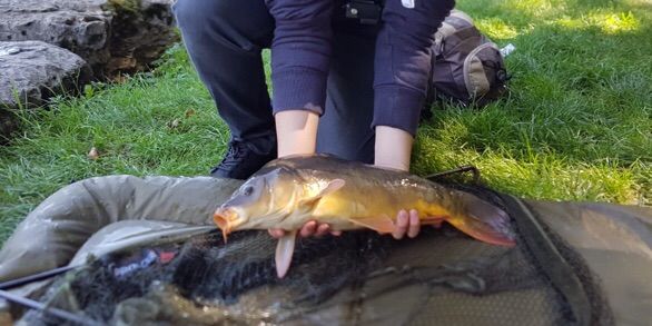 Mehdi 🎣