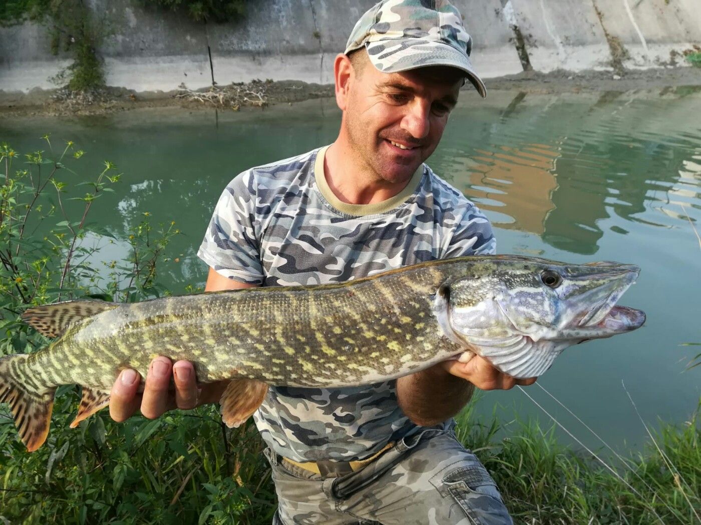 Stefano Nardin