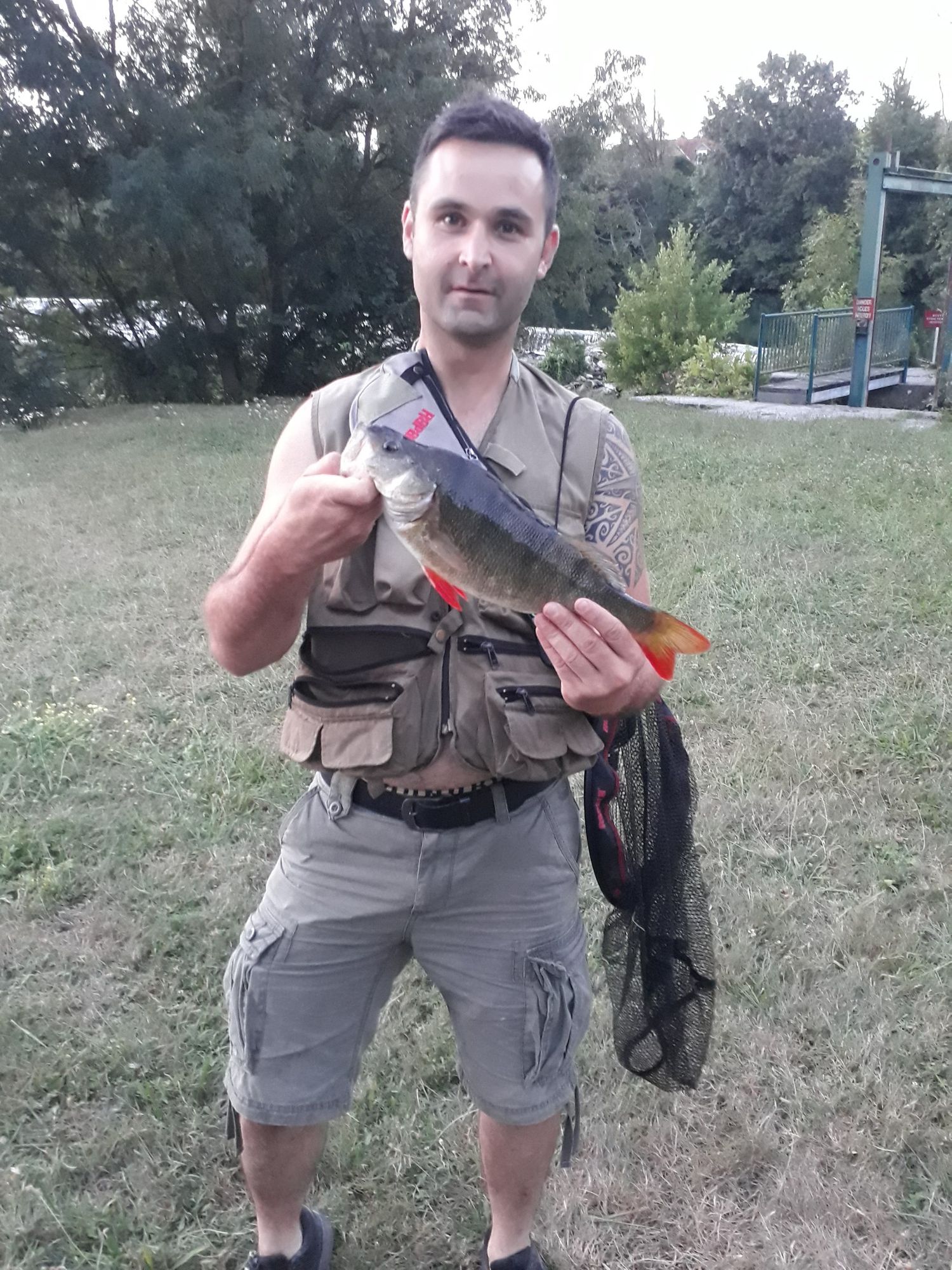 Fish Rapala