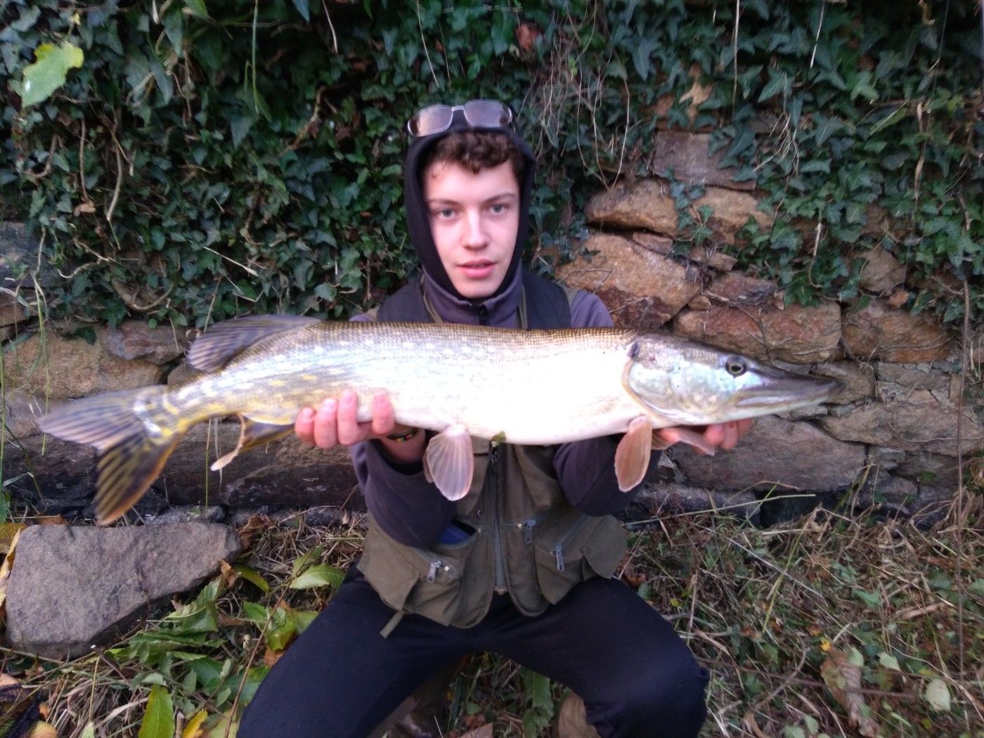 fishiscoming fr